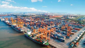 [Инфографика] В январе 2026 года внешнеторговый оборот достиг 88,16 млрд долл. США