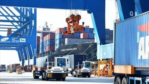 Экспортные операции в портовом комплексе Каймеп — Тхивай. Фото: ВИА