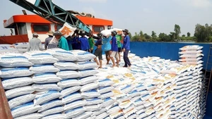 Экспорт риса из Вьетнама в первые 2 месяца 2026 года увеличился на 5% по объему. Фото: ВИА