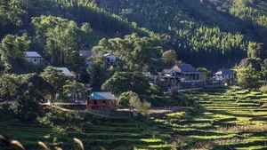 Мирные деревни народности мыонг в коммуне Ваншон привлекают многих туристов. Фото: ВИА