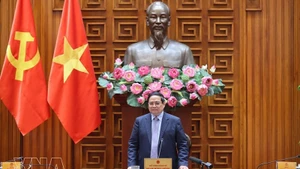 Премьер-министр Фам Минь Тьинь выступает на заседании. Фото: ВИА
