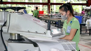 Рабочие на предприятии Maxport Limited Vietnam — филиал Намдинь (провинция Ниньбинь). Фото: ВИА