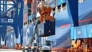 Погрузка и разгрузка импортно-экспортных грузов в международном порту Gemalink. Фото: ВИА