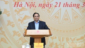 Премьер-министр Фам Минь Тьинь выступает на заседании. Фото: Чан Хай