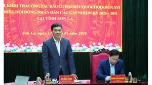 Заместитель Председателя Национального собрания Ву Хонг Тхань выступает с руководящими указаниями на рабочей встрече. Фото: ВИА