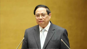 Премьер-министр Правительства Фам Минь Тьинь выступает на конференции. Фото: ВИА