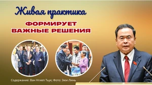 Живая практика формирует важные решения