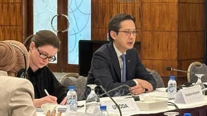 Посол До Хунг Вьет председательствует на консультациях. Фото: ВИА