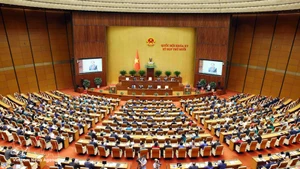 Общий вид торжественного открытия 10-й сессии Национального собрания XV созыва. Фото: ВИА