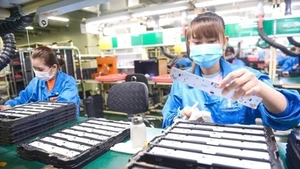 Работники компании Vexos в экспортно-производственной зоне Тантхуан в г. Хошимин. Фото: tuoitre.vn