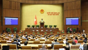 Общий вид обсуждения в зале во второй половине дня 2 декабря. Фото: Зюи Линь