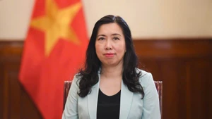 Заместитель министра иностранных дел Вьетнама Ле Тхи Тху Ханг. Фото: baoquocte.vn