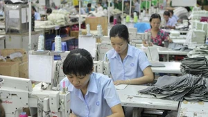 Средний зарегистрированный уставный капитал одного предприятия в октябре составил 9,6 миллиарда донгов, немного снизившись по сравнению с сентябрём и тем же периодом прошлого года. Фото: ВИА