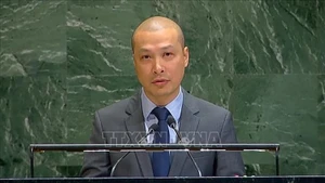 Посланник Нгуен Хоанг Нгуен выступает на заседании. Фото: ВИА