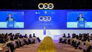 Премьер-министр Фам Минь Тьинь выступает на программе. Фото: VGP