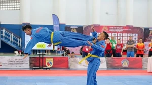 Вьетнамские мастера боевых искусств соревнуются на чемпионате мира по вовинаму 2025 года. Фото: tienphong.vn