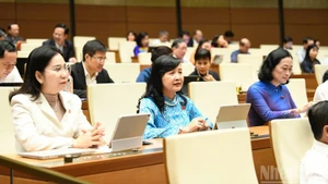 Депутаты НС на дискуссии в зале 29 октября. Фото: Зюи Линь