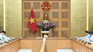 Премьер-министр Фам Минь Тьинь председательствует на экстренном заседании.