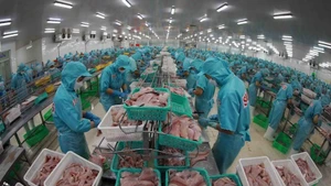 Переработка рыбы для экспорта. Фото: ВИА