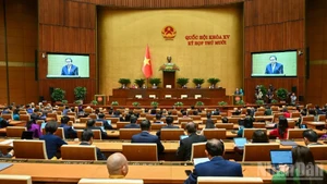 Общий вид заседания НС во второй половине дня 11 декабря 2025 г. Фото: Зюи Линь