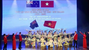 Художественный номер в исполнении вьетнамских артистов на церемонии. Фото: ВИА