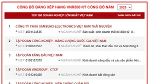 Публикация рейтинга VNR500 за 2025 год. Фото с экрана