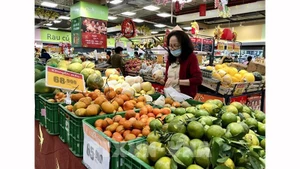 Ассортимент отечественных фруктов продаётся по стабилизированным ценам в розничной торговой точке. Фото: ВИА