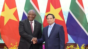 Партнёрство во имя сотрудничества и развития между Вьетнамом и Южной Африкой