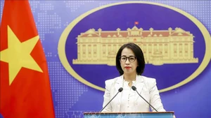 Официальный представитель МИД Вьетнама Фам Тху Ханг. Фото: ВИА