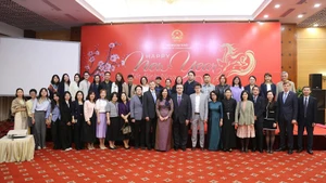 Дипломатические представители и корреспонденты зарубежных информационных агентств, аккредитованных во Вьетнаме, на встрече, проведенной МИД Вьетнама. Фото: МИД Вьетнама