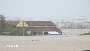 Многие районы в Даклаке глубоко затоплены паводковыми водами. Фото: ВИА