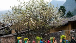 Жизнь жителей Каменного плоскогорья Донгван. Фото: ВИА