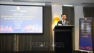 Министр промышленности и торговли Нгуен Хонг Зиен выступает на форуме. Фото: ВИА