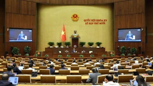 НС обсуждает в зале проект Закона об электронной коммерции. Фото: Зюи Линь