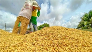 Фото: ВИА