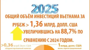 В 2025 году объём инвестиций Вьетнама за рубеж увеличился на 88,7%