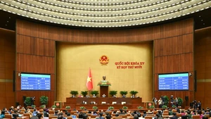 Заседание в ремках 10-й сессии НС XV созыва. Фото: Зюи Линь