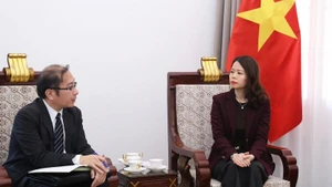 Заместитель министра иностранных дел Нгуен Минь Ханг и г-н Тамура Хидэясу. Фото: baoquocte.vn