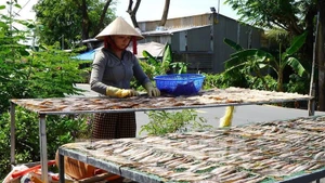 В 2025 году среднедушевой доход вырос на 9,3%. Фото: ВИА