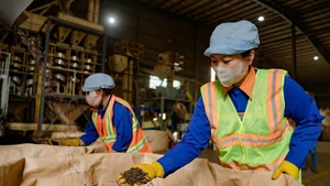 В 2025 году экспорт кофе установил новый рекорд, достигнув 8,9 млрд долларов США.