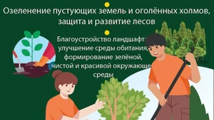 Значение праздника посадки деревьев