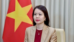 Заместитель министра иностранных дел Нгуен Минь Ханг. Фото: МИД Вьетнама