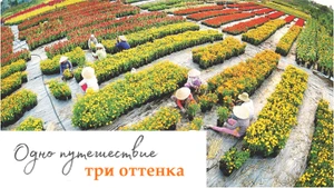 Одно путешествие – три оттенка