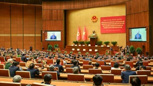 Общий вид конференции. Фото: Зюи Линь