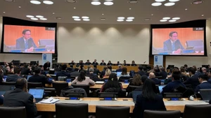 Посол До Хунг Вьет выступает на диалоге. Фото: baoquocte.vn