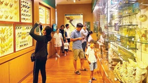 Гости посещают Музей природы в Ханое.