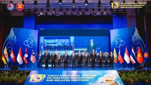 Участники AMMDM.