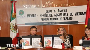 Посол Нгуен Ван Хай и Председатель Комиссии по социальному обеспечению Палаты депутатов Мексики, Председатель группы парламентариев мексиканско-вьетнамской дружбы Ана Карина Рохо Пиментель. Фото: ВИА