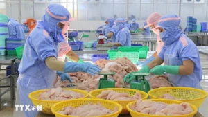 Переработка пангасиуса. Фото: ВИА