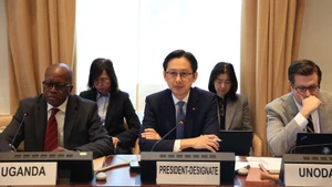 Посол До Хунг Вьет выступает на консультациях. Фото: ВИА